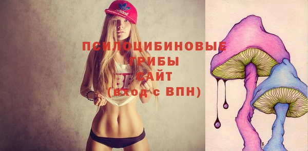 мяу мяу мука Надым