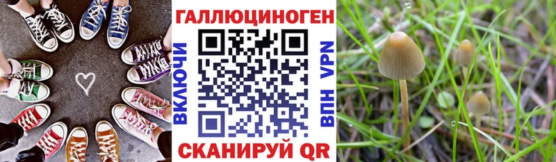 Купить закладки  Мензелинск  Галлюциногенные грибы MAGIC MUSHROOMS 
